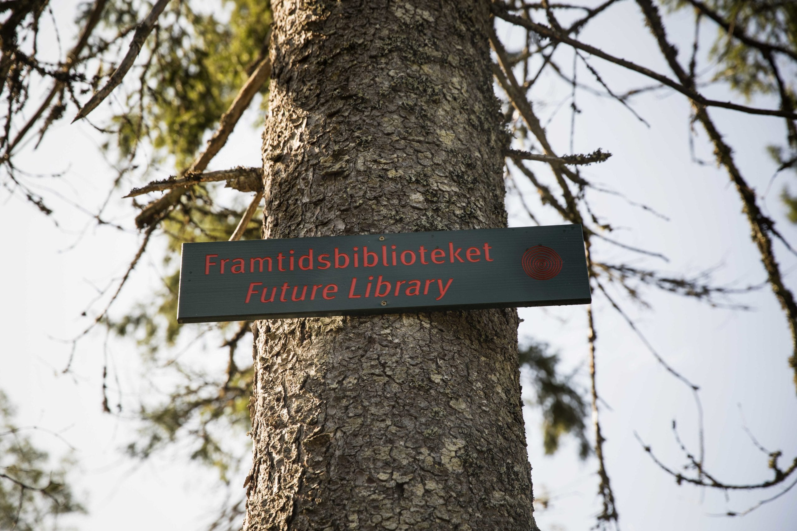 Könyvek, amelyeket száz évig nem olvashat el senki