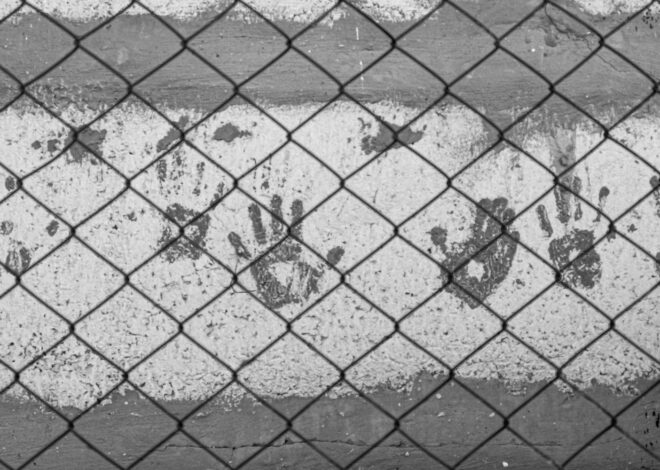 Gelléri Andor Endre: FARSANG